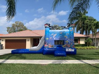 4 in 1 Under the Sea Dual Lane Combo Wet or Dry