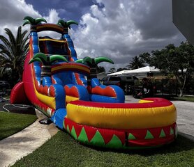 25' Tall - South Beach Water Slide single lane